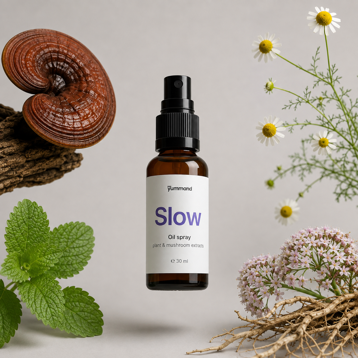 Slow