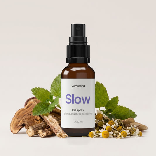 Slow